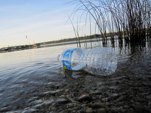 in 2016 over 4,000 bottles were removed from the Thames
